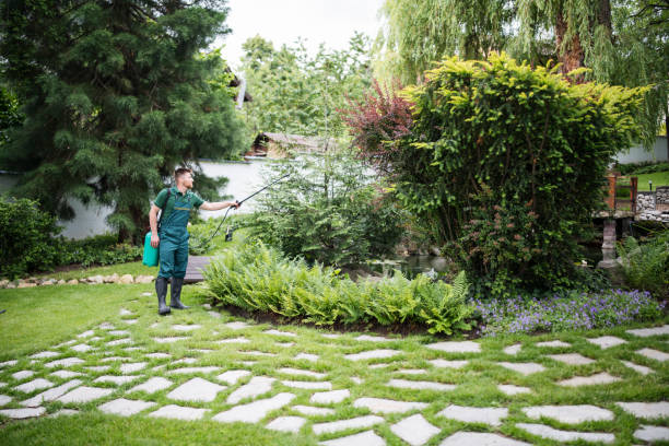 Best Pest Removal Services  in Ballard, UT