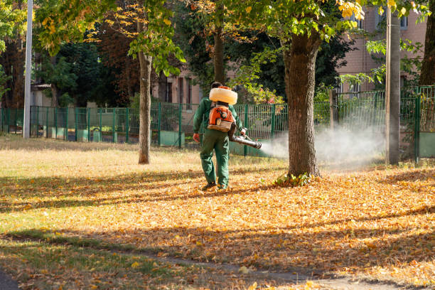 Best Bird Control  in Ballard, UT