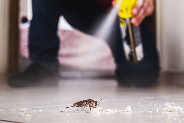 Best Best Pest Control Companies  in Ballard, UT