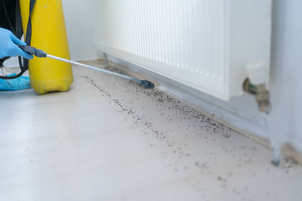 Best Insect Control  in Ballard, UT