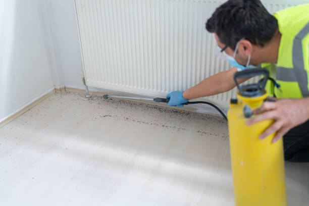 Reliable Ballard, UT Pest Control Solutions